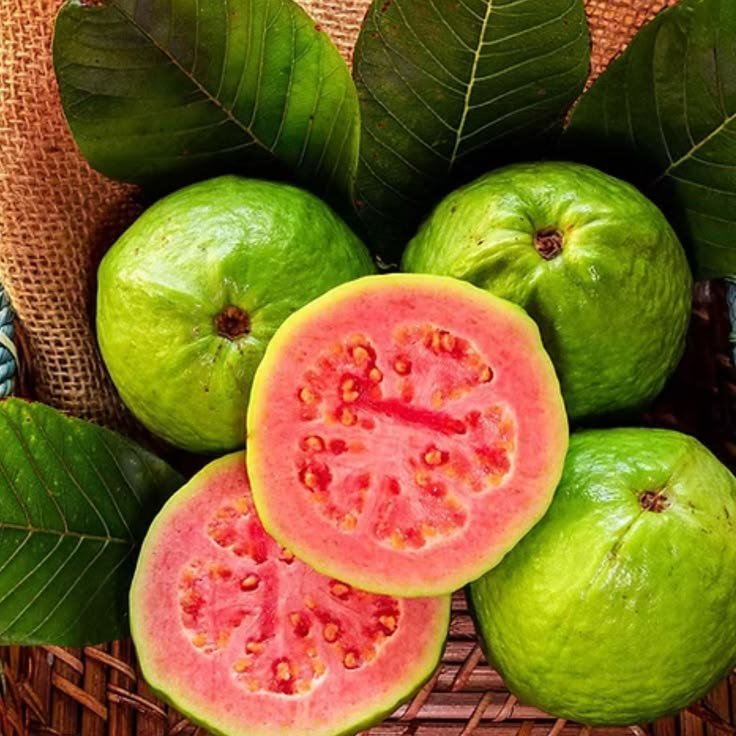 50 Taiwan Pink Guava Seeds, Sweet Tropical Fruit for Home Garden Planting